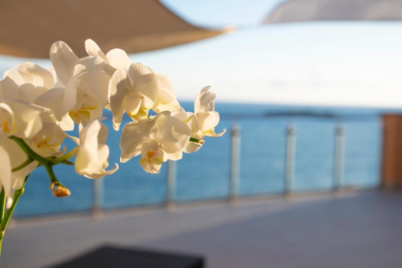 La Dimora Sul Mare Acomodação com café da manhã Marina di Camerota Exterior foto